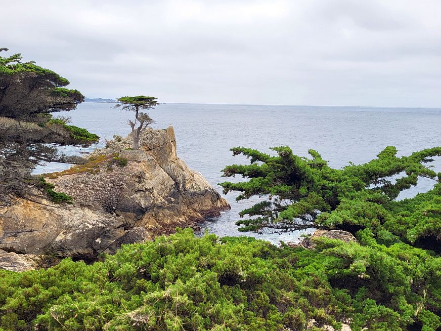 Monterey Bay w 3 dni. Co warto zwiedzić i jak spędzić czas? 17